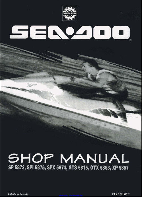2004 Ski Doo Repair Manual Free